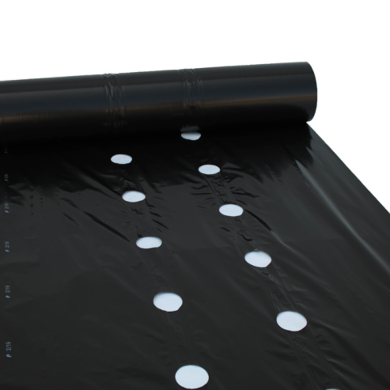 Folija PE jagode 30X30.png