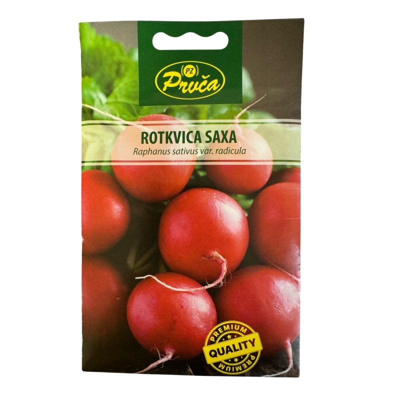 Rotkvica Saxa