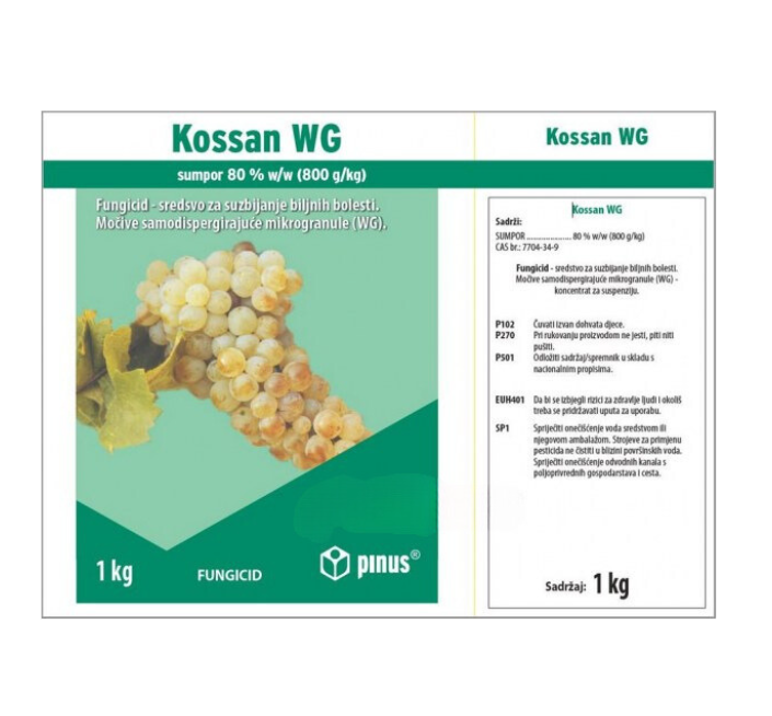 Kossan WG 1 kg