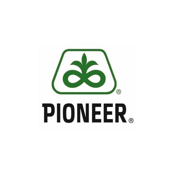 pioneer