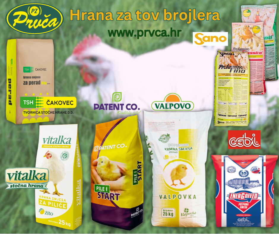 Hrana za tov brojlera (1)