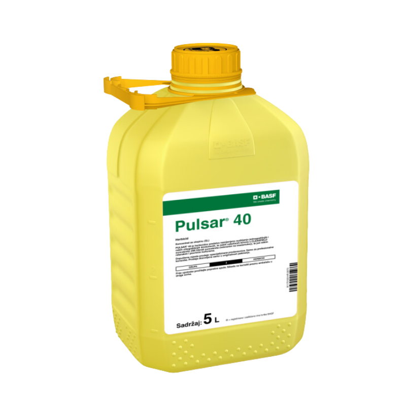 Untitled design (29)