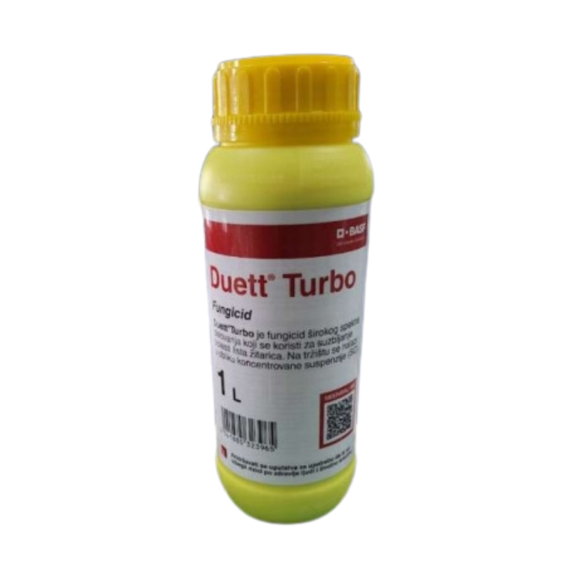 Untitled design (36)