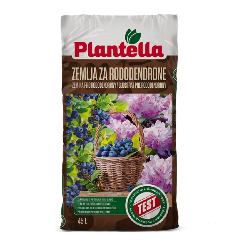 plantella za rododene