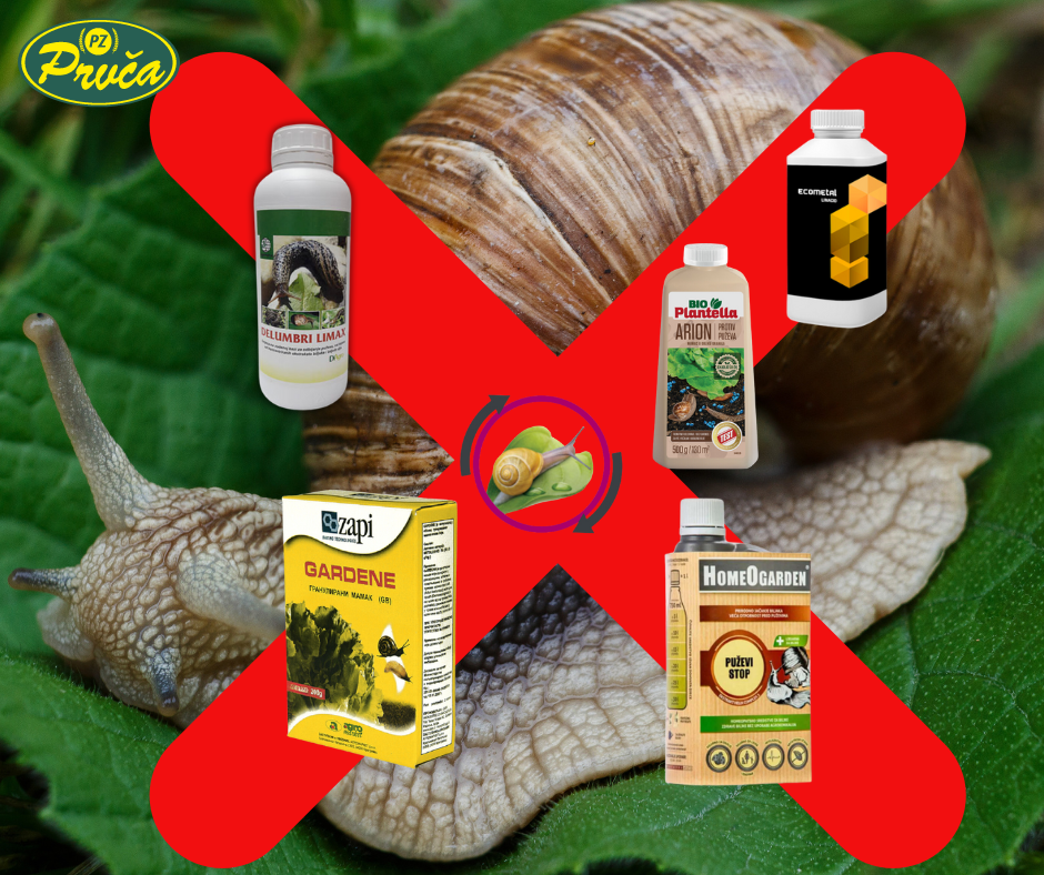 Untitled design (45)