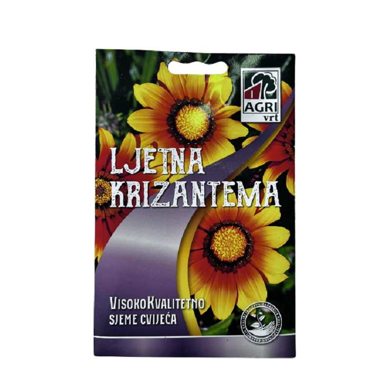 ljetna krizantema
