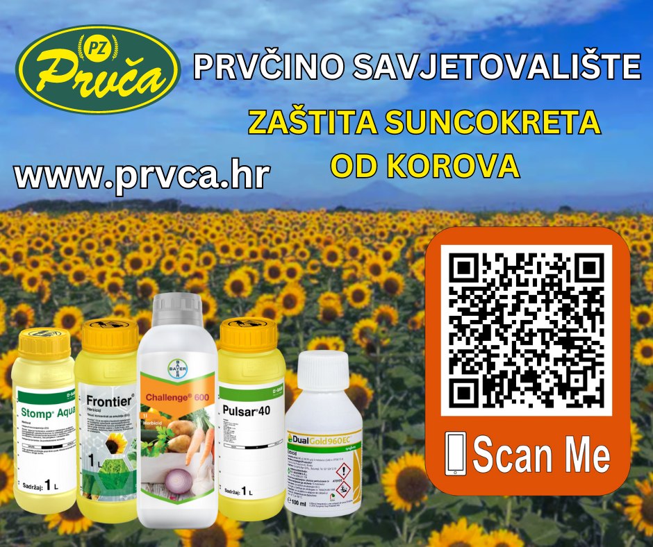 441067810 930088942242359 8334755595381088243 n