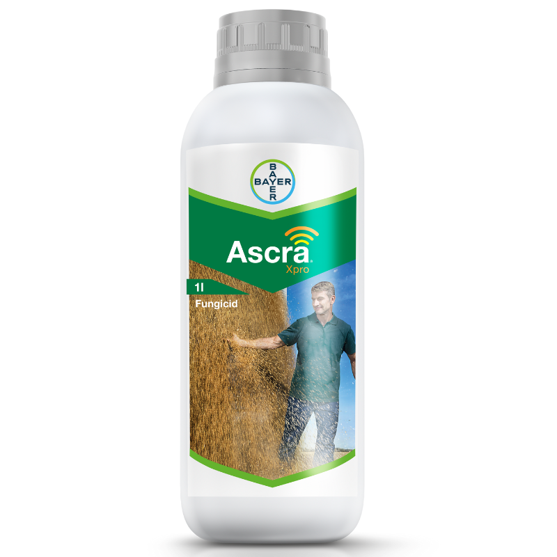 Ascra Xpro 1 L