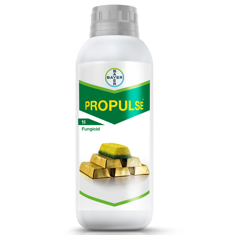 Propulse 1 L