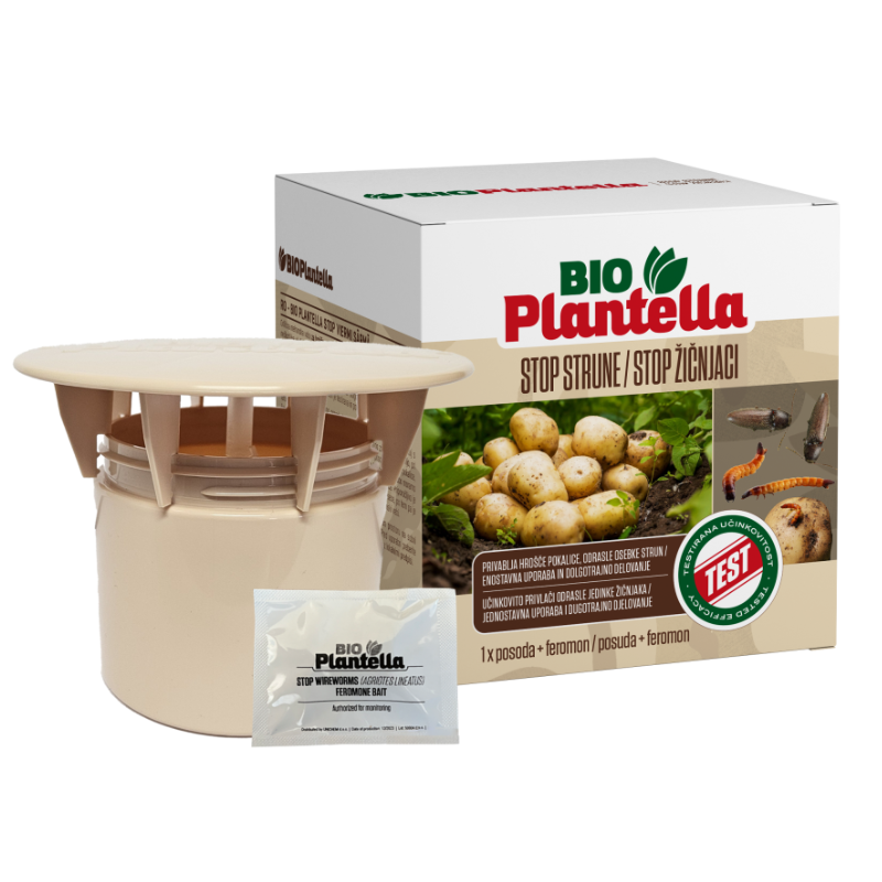 Untitled design (51)