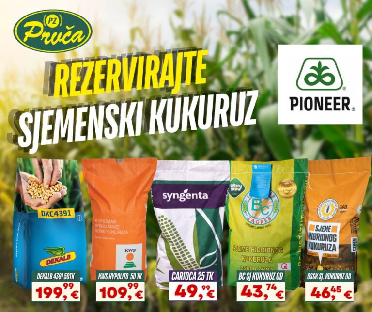 476177051 1112387904012461 515067086489200904 n