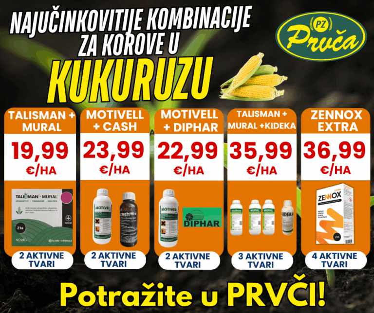 Potražite u PRVČI