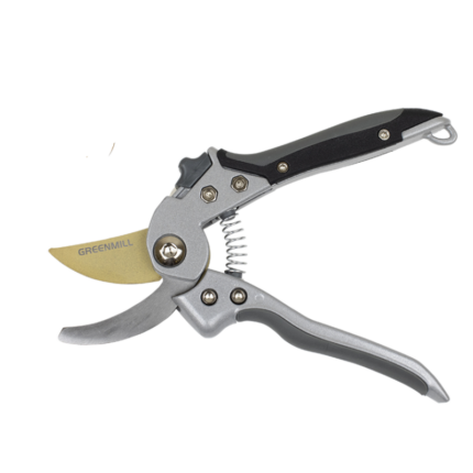 Untitled design (20)