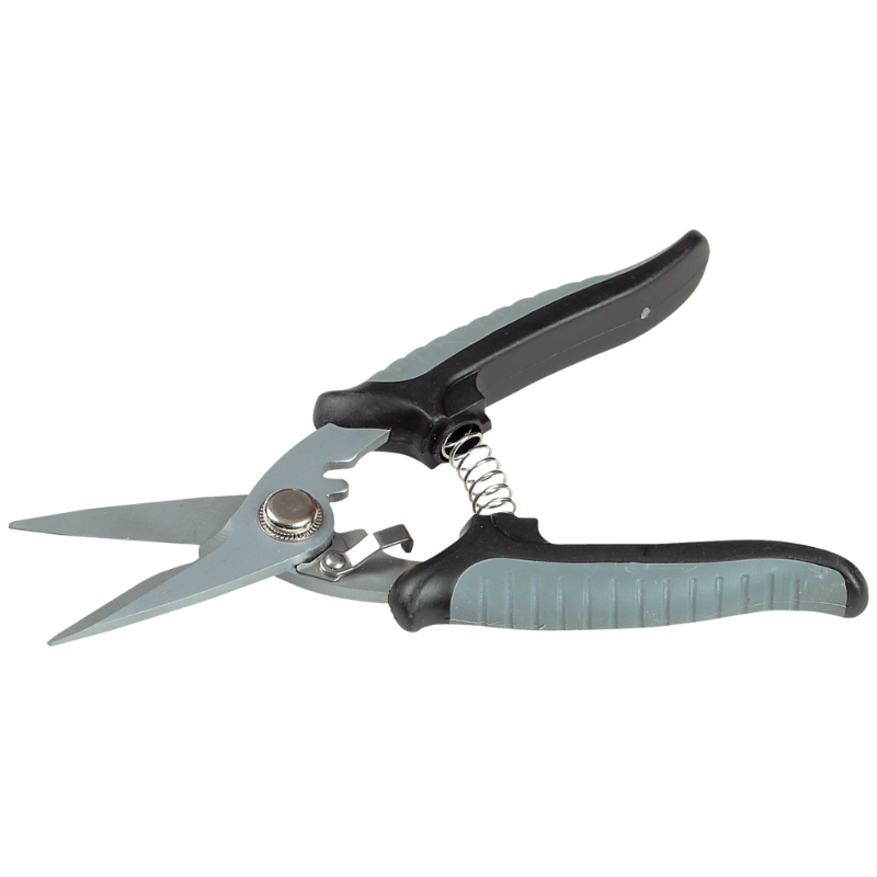 Untitled design (21)