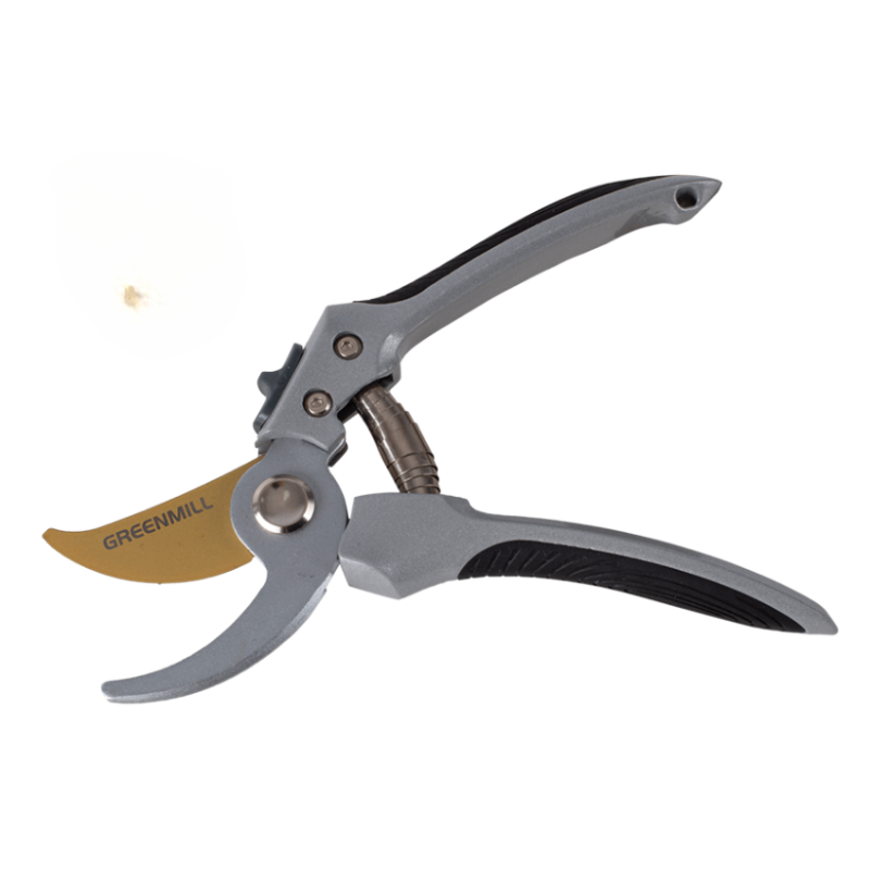 Untitled design (30)