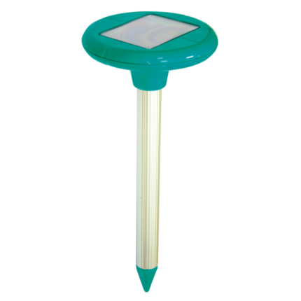 Untitled design (35)