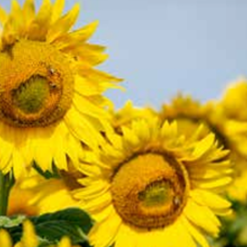 Untitled design (92)