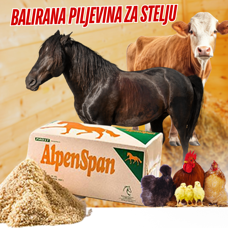 Untitled design (95)