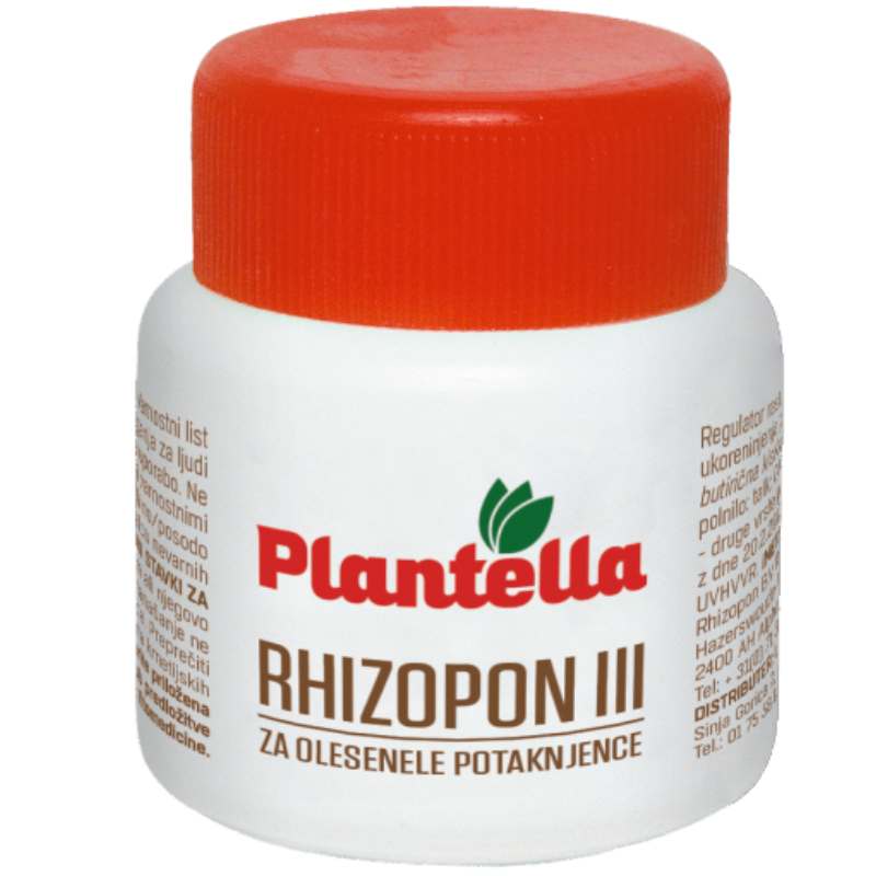 rhizopon III
